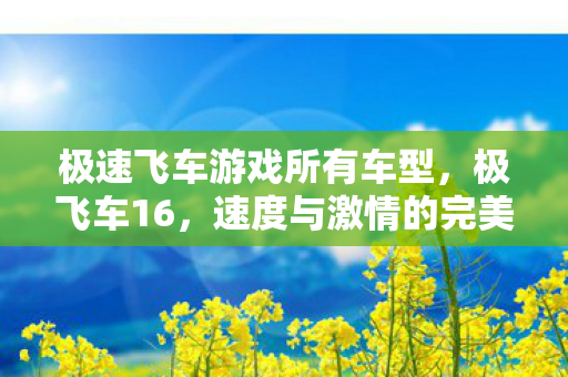 极速飞车游戏所有车型,极飞车16,速度与激情的完美结合 极速飞车游戏所有车型,极飞车16,速度与激情的完美结合
