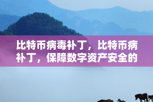 比特币病毒补丁,比特币病补丁,保障数字资产安全的防线 比特币病毒补丁,比特币病补丁,保障数字资产安全的防线