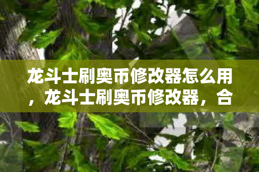 龙斗士刷奥币修改器怎么用，龙斗士刷奥币修改器，合法、安全、高效的辅助工具