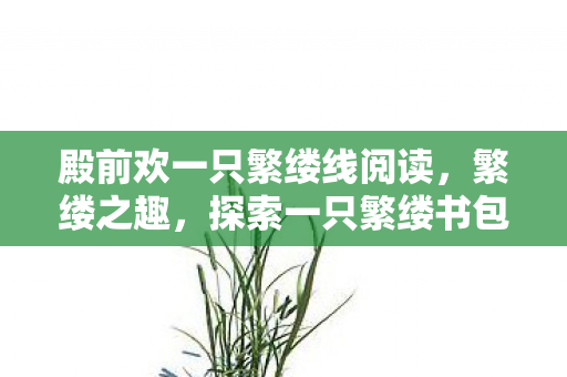 殿前欢一只繁缕线阅读,繁缕之趣,探索一只繁缕书包网的独特魅力 殿前欢一只繁缕线阅读,繁缕之趣,探索一只繁缕书包网的独特魅力