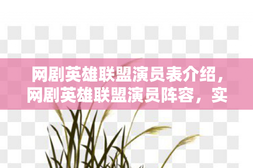 网剧英雄联盟演员表介绍，网剧英雄联盟演员阵容，实力派与偶像派的精彩碰撞