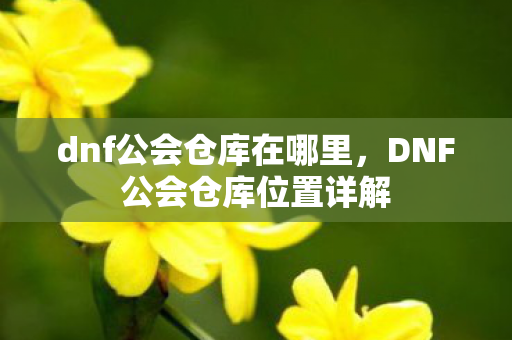 dnf公会仓库在哪里,DNF公会仓库位置详解 dnf公会仓库在哪里,DNF公会仓库位置详解