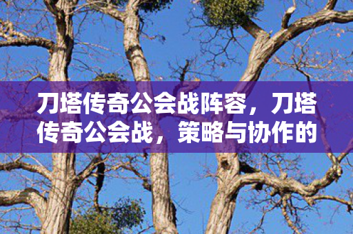刀塔传奇公会战阵容,刀塔传奇公会战,策略与协作的巅峰对决 刀塔传奇公会战阵容,刀塔传奇公会战,策略与协作的巅峰对决