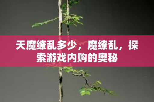 天魔缭乱多少，魔缭乱，探索游戏内购的奥秘