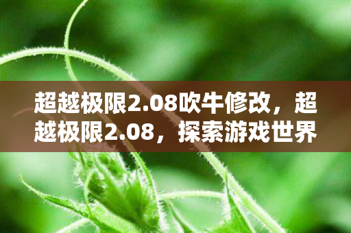超越极限2.08吹牛修改,超越极限2.08,探索游戏世界的无限可能 超越极限2.08吹牛修改,超越极限2.08,探索游戏世界的无限可能