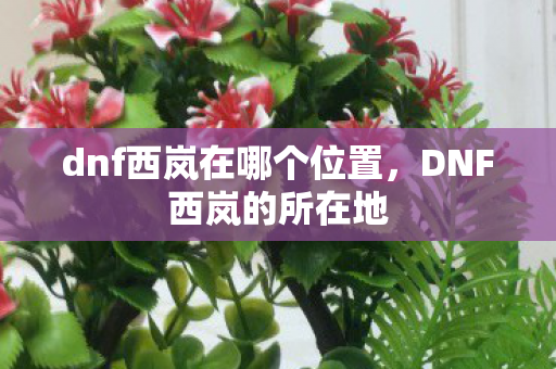 dnf西岚在哪个位置,DNF西岚的所在地 dnf西岚在哪个位置,DNF西岚的所在地