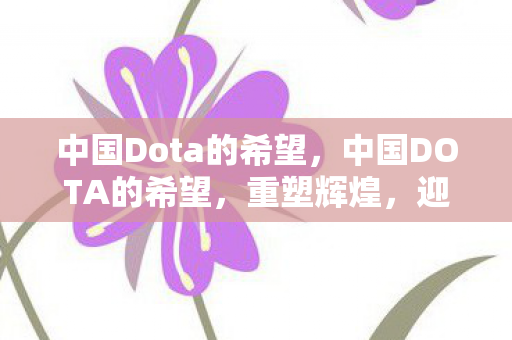 中国Dota的希望,中国DOTA的希望,重塑辉煌,迎接未来 中国Dota的希望,中国DOTA的希望,重塑辉煌,迎接未来