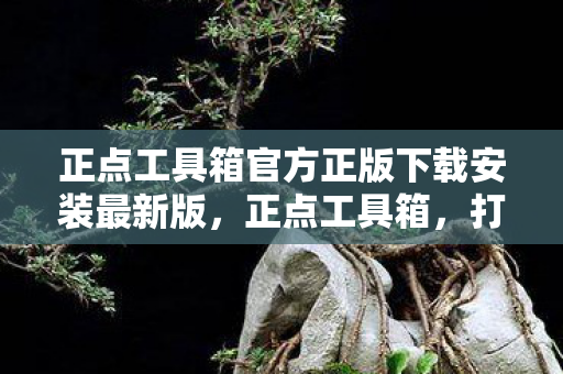正点工具箱官方正版下载安装最新版,正点工具箱,打造高效便捷的游戏体验 正点工具箱官方正版下载安装最新版,正点工具箱,打造高效便捷的游戏体验