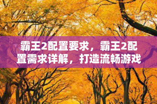 霸王2配置要求,霸王2配置需求详解,打造流畅游戏体验的硬件指南 霸王2配置要求,霸王2配置需求详解,打造流畅游戏体验的硬件指南