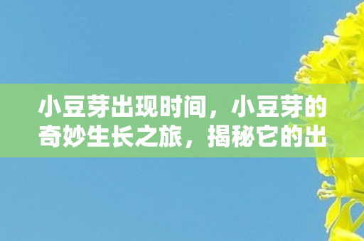 小豆芽出现时间,小豆芽的奇妙生长之旅,揭秘它的出现时间与成长奥秘 小豆芽出现时间,小豆芽的奇妙生长之旅,揭秘它的出现时间与成长奥秘