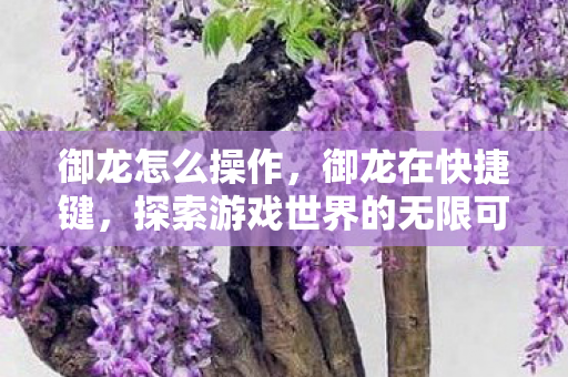 御龙怎么操作，御龙在快捷键，探索游戏世界的无限可能
