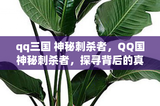 qq三国 神秘刺杀者,QQ国神秘刺杀者,探寻背后的真相 qq三国 神秘刺杀者,QQ国神秘刺杀者,探寻背后的真相