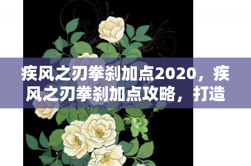 疾风之刃拳刹加点2020,疾风之刃拳刹加点攻略,打造最强拳刹 疾风之刃拳刹加点2020,疾风之刃拳刹加点攻略,打造最强拳刹