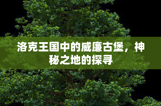 洛克王国中的威廉古堡,神秘之地的探寻 洛克王国中的威廉古堡,神秘之地的探寻