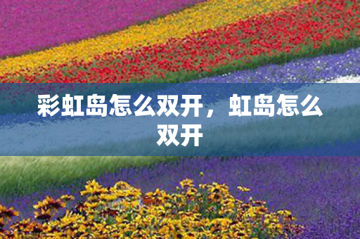 彩虹岛怎么双开，虹岛怎么双开