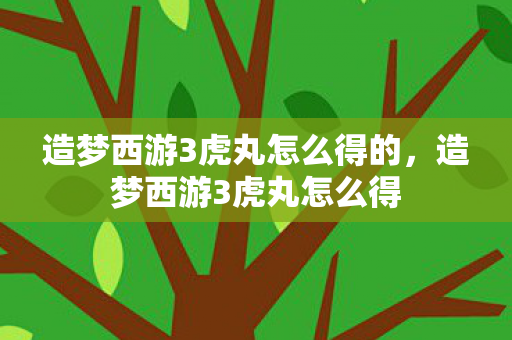 造梦西游3虎丸怎么得的,造梦西游3虎丸怎么得 造梦西游3虎丸怎么得的,造梦西游3虎丸怎么得