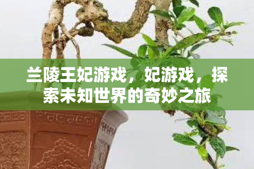 兰陵王妃游戏,妃游戏,探索未知世界的奇妙之旅 兰陵王妃游戏,妃游戏,探索未知世界的奇妙之旅