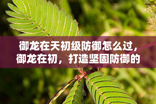 御龙在天初级防御怎么过,御龙在初,打造坚固防御的单人攻略 御龙在天初级防御怎么过,御龙在初,打造坚固防御的单人攻略