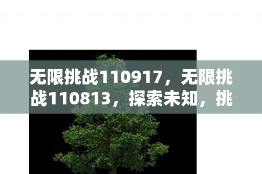 无限挑战110917,无限挑战110813,探索未知,挑战极限 无限挑战110917,无限挑战110813,探索未知,挑战极限