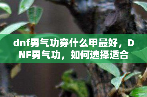 dnf男气功穿什么甲最好,DNF男气功,如何选择适合的甲类装备 dnf男气功穿什么甲最好,DNF男气功,如何选择适合的甲类装备