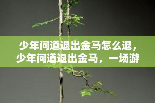 少年问道退出金马怎么退,少年问道退出金马,一场游戏江湖的离别 少年问道退出金马怎么退,少年问道退出金马,一场游戏江湖的离别
