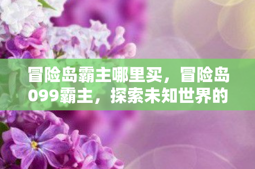 冒险岛霸主哪里买，冒险岛099霸主，探索未知世界的勇者之旅