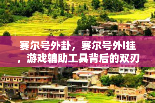 赛尔号外卦,赛尔号外i挂,游戏辅助工具背后的双刃剑 赛尔号外卦,赛尔号外i挂,游戏辅助工具背后的双刃剑