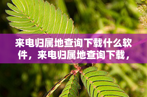 来电归属地查询下载什么软件,来电归属地查询下载,便捷生活,安全守护 来电归属地查询下载什么软件,来电归属地查询下载,便捷生活,安全守护