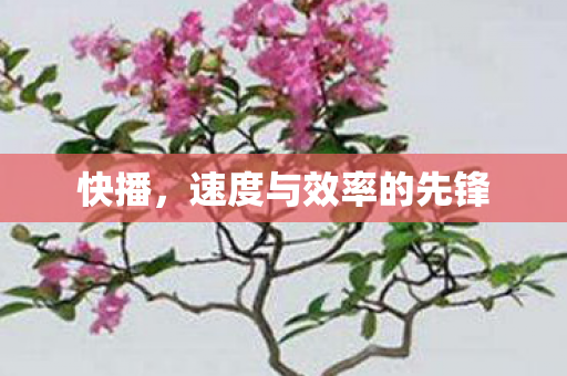 快播，速度与效率的先锋