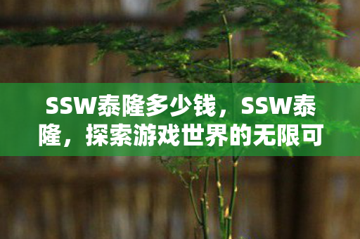 SSW泰隆多少钱，SSW泰隆，探索游戏世界的无限可能