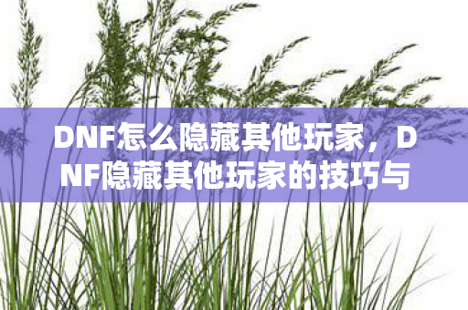 DNF怎么隐藏其他玩家，DNF隐藏其他玩家的技巧与策略