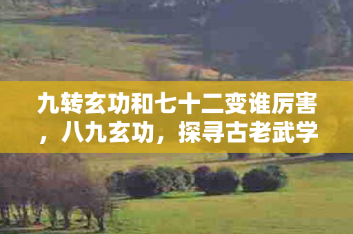 九转玄功和七十二变谁厉害,八九玄功,探寻古老武学的奥秘 九转玄功和七十二变谁厉害,八九玄功,探寻古老武学的奥秘