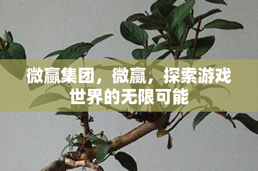 微赢集团,微赢,探索游戏世界的无限可能 微赢集团,微赢,探索游戏世界的无限可能