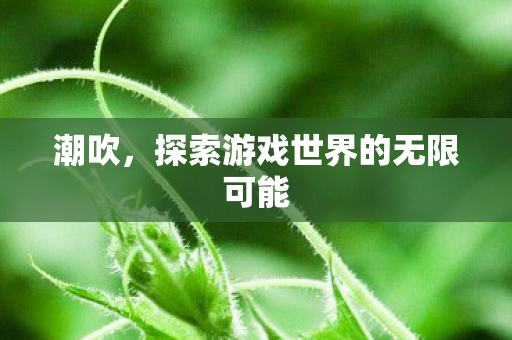 潮吹,探索游戏世界的无限可能 潮吹,探索游戏世界的无限可能