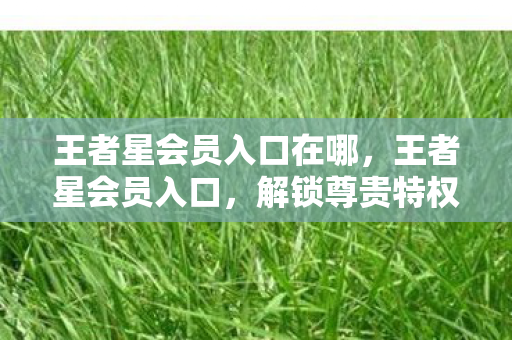 王者星会员入口在哪,王者星会员入口,解锁尊贵特权,畅享游戏新体验 王者星会员入口在哪,王者星会员入口,解锁尊贵特权,畅享游戏新体验