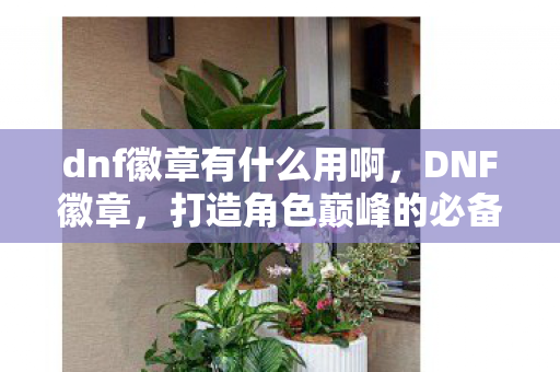 dnf徽章有什么用啊，DNF徽章，打造角色巅峰的必备神器