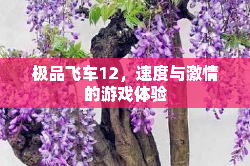 极品飞车12,速度与激情的游戏体验 极品飞车12,速度与激情的游戏体验
