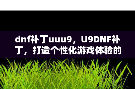 dnf补丁uuu9,U9DNF补丁,打造个性化游戏体验的必备神器 dnf补丁uuu9,U9DNF补丁,打造个性化游戏体验的必备神器