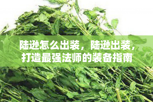 陆逊怎么出装,陆逊出装,打造最强法师的装备指南 陆逊怎么出装,陆逊出装,打造最强法师的装备指南