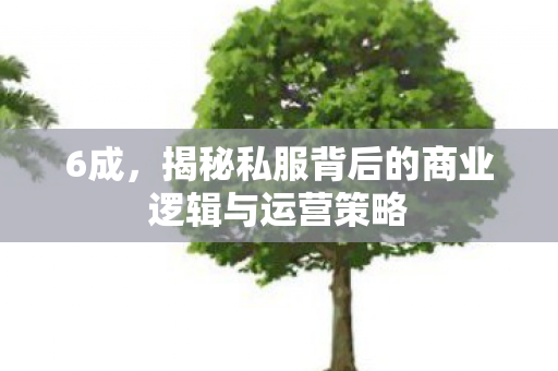 6成,揭秘私服背后的商业逻辑与运营策略 6成,揭秘私服背后的商业逻辑与运营策略