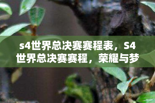 s4世界总决赛赛程表,S4世界总决赛赛程,荣耀与梦想的舞台 s4世界总决赛赛程表,S4世界总决赛赛程,荣耀与梦想的舞台