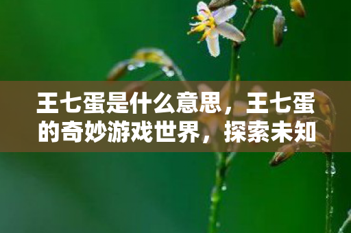 王七蛋是什么意思,王七蛋的奇妙游戏世界,探索未知,畅享无限乐趣 王七蛋是什么意思,王七蛋的奇妙游戏世界,探索未知,畅享无限乐趣