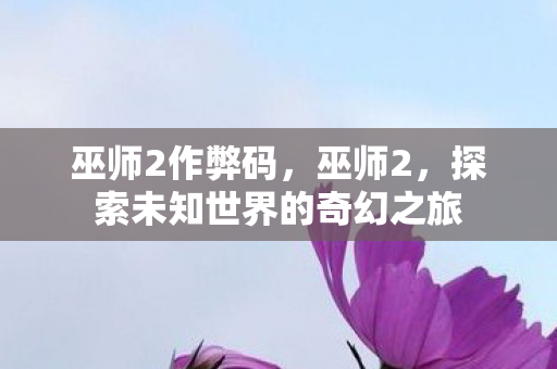 巫师2作弊码，巫师2，探索未知世界的奇幻之旅