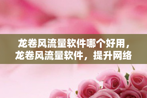 龙卷风流量软件哪个好用,龙卷风流量软件,提升网络效率,优化用户体验 龙卷风流量软件哪个好用,龙卷风流量软件,提升网络效率,优化用户体验