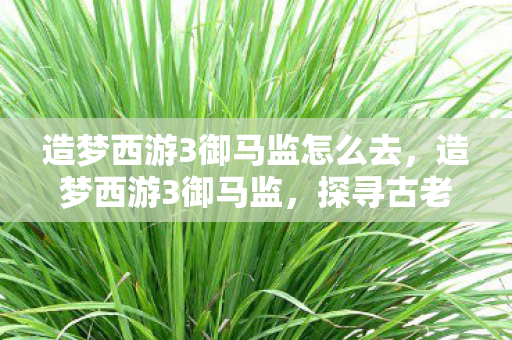 造梦西游3御马监怎么去,造梦西游3御马监,探寻古老神话的奇幻之旅 造梦西游3御马监怎么去,造梦西游3御马监,探寻古老神话的奇幻之旅