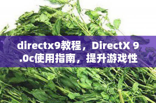 directx9教程,DirectX 9.0c使用指南,提升游戏性能与兼容性的全面解析 directx9教程,DirectX 9.0c使用指南,提升游戏性能与兼容性的全面解析