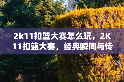 2k11扣篮大赛怎么玩,2K11扣篮大赛,经典瞬间与传奇演绎 2k11扣篮大赛怎么玩,2K11扣篮大赛,经典瞬间与传奇演绎