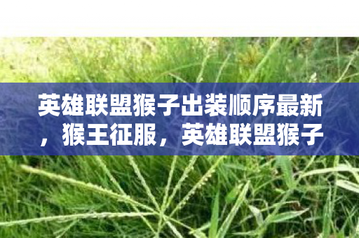 英雄联盟猴子出装顺序最新,猴王征服,英雄联盟猴子核心出装顺序解析 英雄联盟猴子出装顺序最新,猴王征服,英雄联盟猴子核心出装顺序解析
