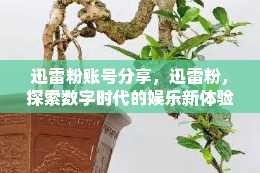 迅雷粉账号分享,迅雷粉,探索数字时代的娱乐新体验 迅雷粉账号分享,迅雷粉,探索数字时代的娱乐新体验