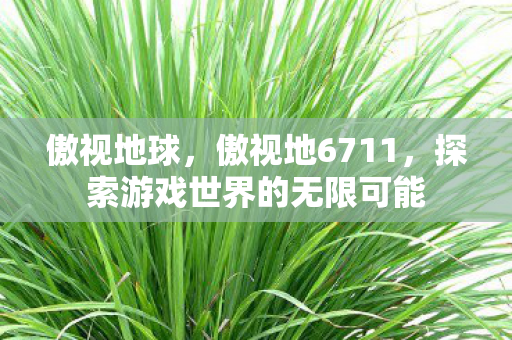 傲视地球,傲视地6711,探索游戏世界的无限可能 傲视地球,傲视地6711,探索游戏世界的无限可能